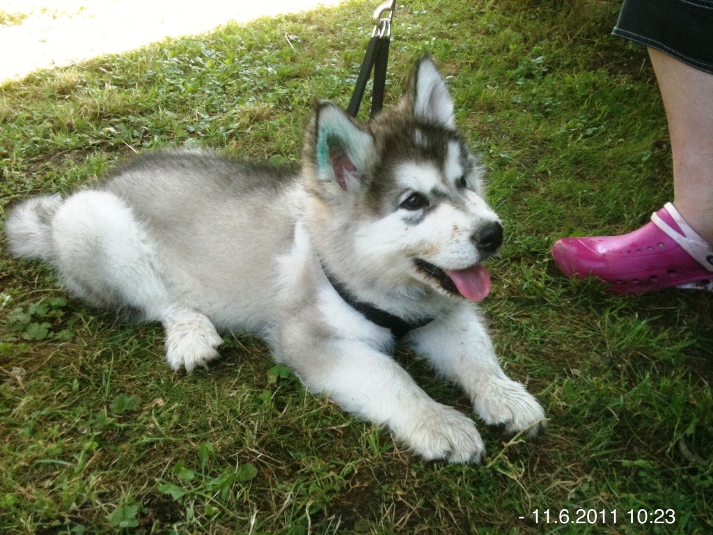 Kopie - Kopie - IMG_1022