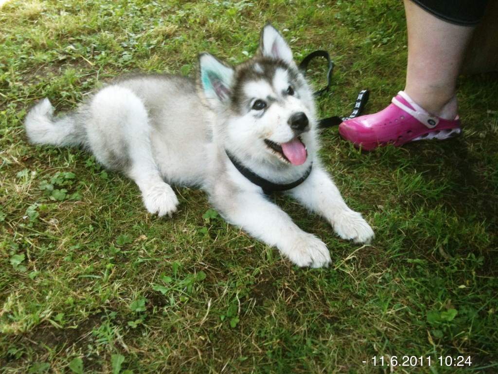 Kopie - Kopie - IMG_1023